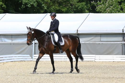 Foto: Manfred Rust (NÖ) liegt als bester Österreicher mit Hugo Holiday in der CCI** auf Platz sieben - Fotograf: Daniel Dunst – dquadr.at 