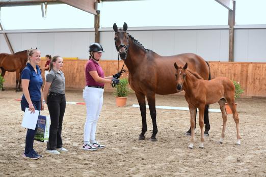 Foto: Dressurvererber Johnson ist der Vater des Siegerstutfohlens beim Championat der Station Maas J. Hell aus der Paola von Lord Loxley. Friederike Bünning (li.) und Anni-Eva Fee Weiss nahmen die Ehrung stellvertretend für Züchter Herbert Ulonska entgegen - Fotograf: Janne Bugtrup