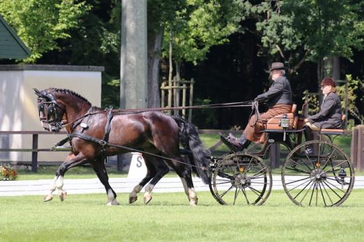 Foto: Rainer Bruehlheide (Deutschland) - Fotograf: Dr. Jürgen Schwarzl