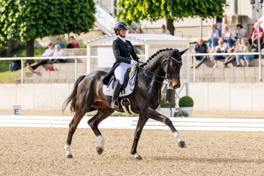 Foto: Dynoro trabt mit Jessica Süß zur Finalpremier im NÜRNBERGER BURG-POKAL – Mit 71,488 % gewinnt das Duo beim Maimarkt Turnier in Mannheim - Fotograf: Stefan Lafrentz