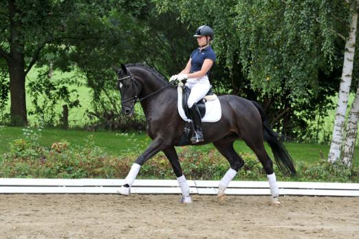 Foto: Der vierjährige Klassenprimus Sam - Fotograf: Sabine Wegener/Equitaris