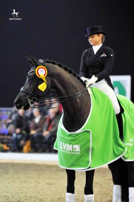 Foto: Sammy Davis jr. unter Dorothee Schneider - Fotograf: Gesina Grömping/Equitaris