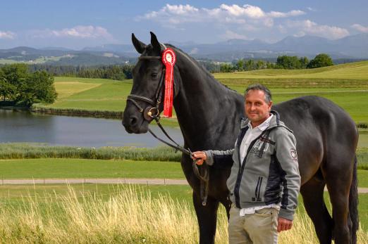 Foto: Stefan Schäfer mit Beau Bubalu bei der Hengstleistungsprüfung 2021 - Fotograf: Tim Heide