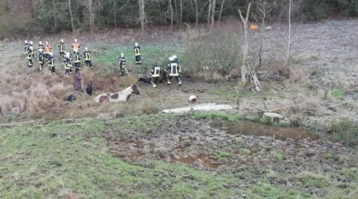 Foto: Die Feuewehr befreit die Pferde - Fotograf: Polizeipräsidium Osthessen