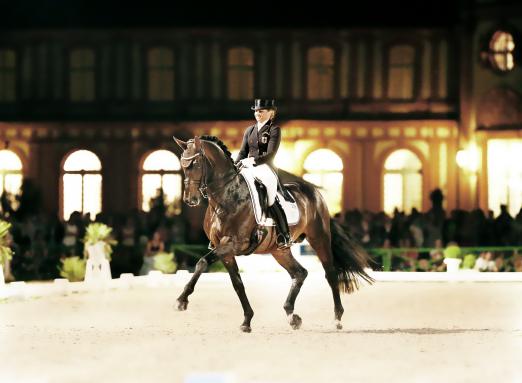 Foto: Kürsiegerin Dorothee Schneider auf Silvano: ‚Dressurreiten macht Spaß’ – so ist es in ihrem Gesicht zu lesen. - Fotograf: WRFC,Toffi