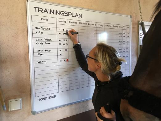 Foto: Der Trainingsplaner von Julia Schönhuber wird täglich gebraucht - Fotograf: Schönhuber 