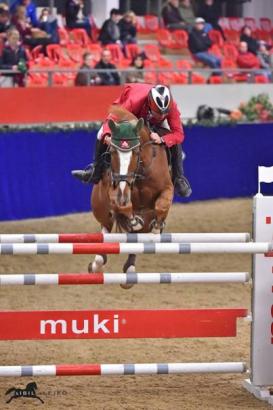 Josef Schwarz jun. und Pokerface holen den Grand Prix Sieg nach Oberösterreich © sIBIL sLEJKO