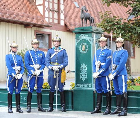 Foto: Zu Gast bei der ersten Marbacher Hengstparade am 27. September 2015: Eine Abordnung der königlich-schwedischen berittenen Leibwache - Fotograf: Stephan Kube