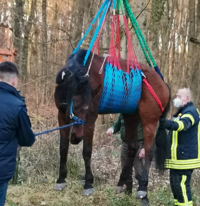 Foto: Pferderettung mittels Kran - Fotograf: Polizeiinspektion Wörth am Rhein