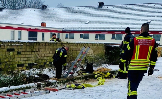Foto: Pferd in der Grube, das nur mit dem Kopf heraus schaut - Fotograf: Feuerwehr Gelsenkirchen