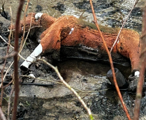 Foto: Diesen vermeintlichen Tierkadaver fanden Polizeibeamte in einem Bachlauf. Zum Glück handelte es sich um ein Spielzeugpferd. - Fotograf: Polizei Gelsenkirchen