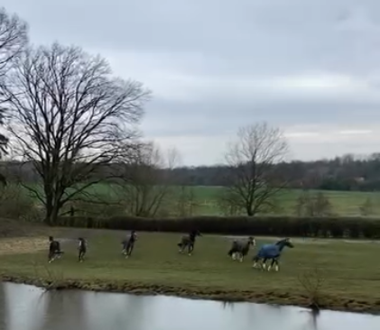 Screenshot aus dem Video. Um das Video anzuschauen einfach auf das Instgram-Video unten klicken.