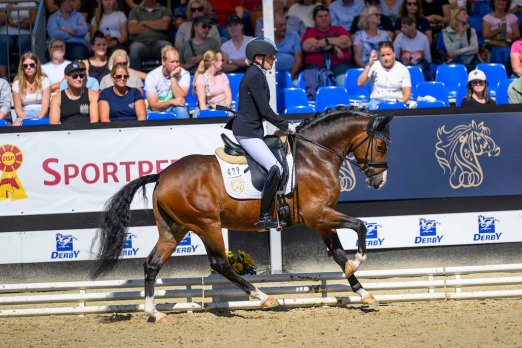 Foto: Assenmachers Nachtschwärmer ist Bundeschampion der vierjährigen Reitponyhengste 2025, im Sattel saß Julia Ralinofsky -. Fotograf: Foto (c) Gesina Grömping/Equitaris
