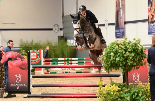 Foto: Conchezz v. Colestus - Fotograf: Janne Bugtrup Foto: Conchezz v. Colestus - Fotograf: Janne Bugtrup