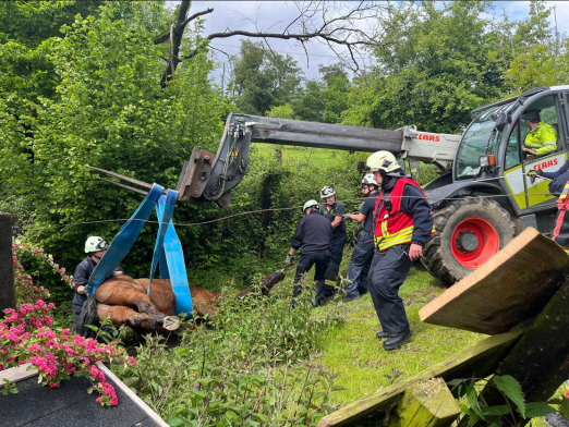 Foto: Pferde in misslicher Lage - Fotogra: Feuerwehr Velbert Foto: Pferde in misslicher Lage - Fotogra: Feuerwehr Velbert