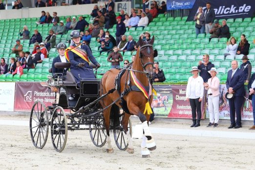 Foto: Der Bundeschampion der vier- und fünfjährige Fahrpferde 2026: Bangor, gefahren von Lea Marie Hemken. - Fotograf: (c) Brit Placzek