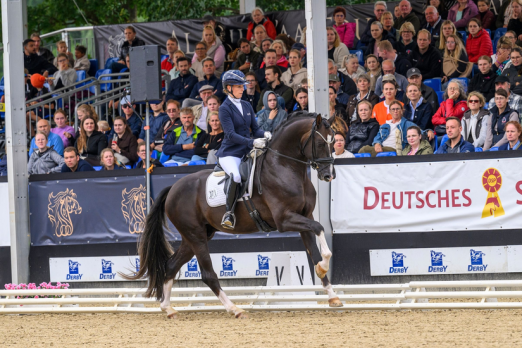 Foto: Ein Bild, das für die Al Shira'aa Bundeschampionate 2026 steht: Sina Aringer und Pramwaldhof's Bonds in Gold vor voll besetzten Tribünen in Warendorf. - Fotograf: (c) Equitaris Foto: Ein Bild, das für die Al Shira'aa Bundeschampionate 2026 steht: Sina Aringer und Pramwaldhof's Bonds in Gold vor voll besetzten Tribünen in Warendorf. - Fotograf: (c) Equitaris