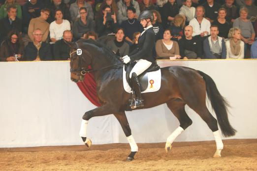 Foto: Preisspitze 2018 - Scrollan von San Amour-Fidermark