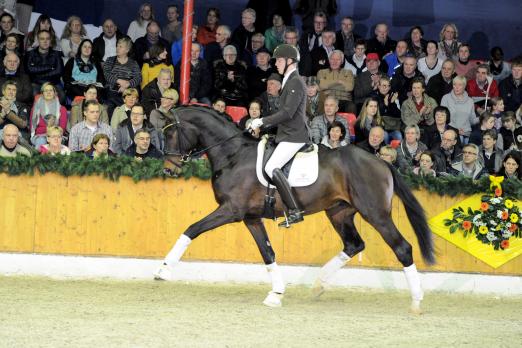 Foto: Sensation unter Lukas Fischer - Fotograf: Sabine Wegener/Equitaris