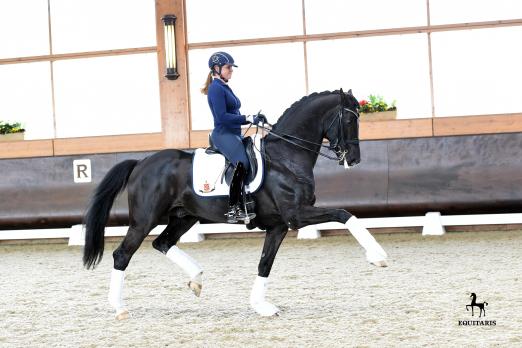 Foto: Sezuan unter Dorothee Schneider - Fotograf: Tanja Becker