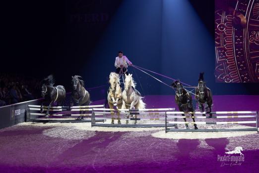 Foto: Mit dem Franzosen Max Hasta Luego kommt einer der angesagtesten Namen der internationalen Showreiterei auf den Hof Kasselmann - Fotograf: PixxArt Fotografie