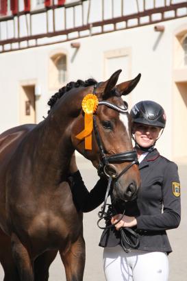 Foto: Quirine v. Quiwitino und Theresa Mayer siegen mit 8,58 in der Stutenleistungsprüfung im Feld in Herbertingen - Fotograf: Gille-Eberhardt