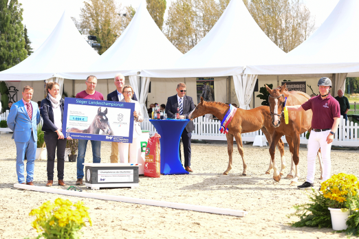 Foto: Glückwünsche und zahlreiche Ehrenpreise für den Züchter des siegreichen Stutfohlens v. Dinken, Björn Boysen (mitte), übergeben durch Sebastian Rohde und Kornelia Kindermann für die Hengsthaltungs GmbH, den Ersten Vorsitzenden Ulrich Steuber und Birte Stapelfeldt von der R+V Verischerung (v.l.n.r.), eingerahmt von Richter Matthias Wittke und Vorführer Tade Petersen (außen) - Fotoraf: Janne Bugtrup