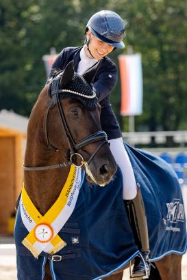 Foto: Hannoveraner Champion Silent Wings kommt als zehntes Pferd zur Versteigerung - Fotograf: Hannoveraner Verband