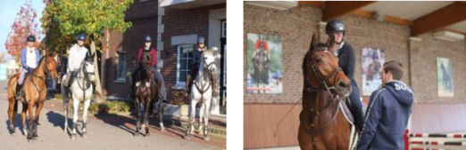 Foto: Impressionen von den Trainingstagen auf dem Hof Sosath - Fotograf: Hof Sosath Foto: Impressionen von den Trainingstagen auf dem Hof Sosath - Fotograf: Hof Sosath