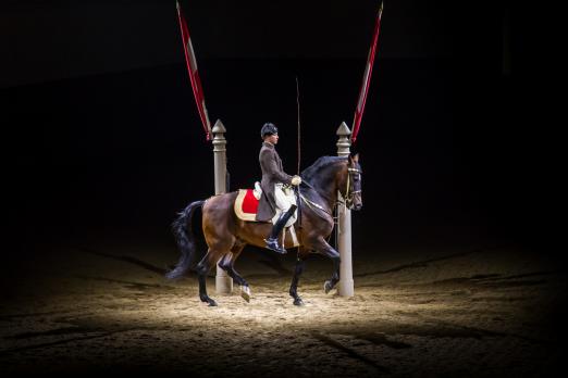 Foto: Das Beleuchtungssystem setzt Pferd und Reiter in Szene - Fotograf: © SRS / Rene van Bakel