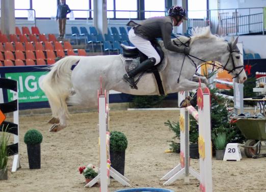 Foto: Steffen Krehl, der mit Como`s Pleasure das S*-Springen mit Siegerrunde in Neustadt-Dosse gewann, ist begeistert von Machart und Organisation der Wintermeetings - Fotograf: LoK