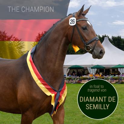 Foto: STARENA * 2016 V: Stalypso MV: Accord II tragend von Diamant de Semilly - Fotograf: Guido Recki