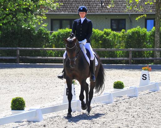 Foto: Gehört zu Portugals Olympia-Auswahl, lebt in Wedel und qualifizierte den Oldenburger Hengst Van Gogh in Klein Offenseth für das Bundeschampionat - Nuno Palma E Santos - Fotograf: Hell