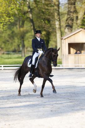 Foto: Matthias Bouten und Fräulein Auguste gewannen die Qualifikaton zum Nürnberger Burg-Pokal in Redefin 2015 - Fotograf: Thomas Hellmann