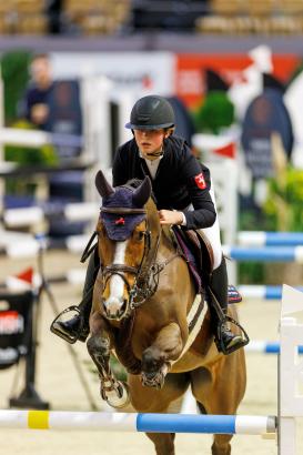 Foto: Amelie Tönnissen, Querida H gewinnen mit 8,7 die Einlaufprüfung zum HGW Bundesnachwuchschampionat der Springreiter - Fotograf: sportfotos-lafrentz.de