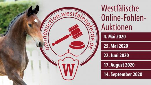  Foto: Neue Online Fohlen-Auktionstermine des Westfälischen Pferdestammbuchs - Fotograf: Guido Recki