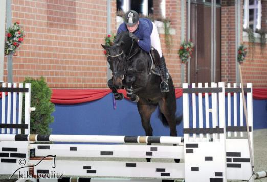 Foto: Neuzugang Thagoras unter Otto Vaske - Fotograf: Kiki Beelitz
