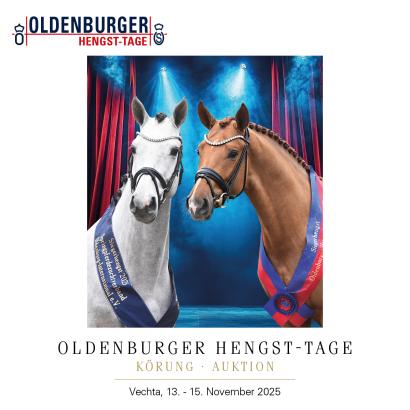 Foto: Titel Oldenburger Hengst - Tage - Fotograf: © Beelitz & Gerstenkorn Foto: Titel Oldenburger Hengst - Tage - Fotograf: © Beelitz & Gerstenkorn