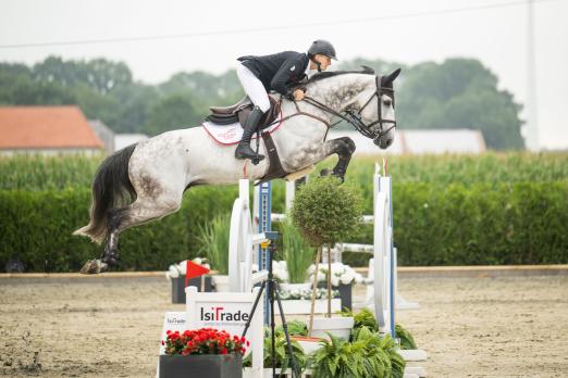 Foto: Tom Schewe - hier mit Outsider - war der Mann des Tages bei den sechsjährigen Springpferden. Sieg mit Merrie W und platziert mit zwei weiteren Kandidaten - Fotograf: Leonie Minten