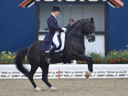 Foto: Wunderpferd Totilas und Dressurreiter Matthias Rath stehen wegen der umstrittenen Rollkur unter Beobachtung. - Fotograf: Carmen Jaspersen - dpa