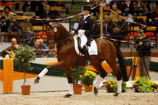Foto: Connery, vorgestellt von Ann-Sophie Fiebelkorn - Fotograf: Jutta Bauernschmitt 