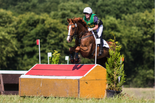 Foto: Lena Scheepers und Capri Colours auf dem Weg zum Sieg in der CCI1*-Prüfung und dem Gewinn der Rheinischen Meisterschaft der Jungen Reiter in Hünxe. - Fotograf: Top-Eventers GmbH/eventingphoto.com