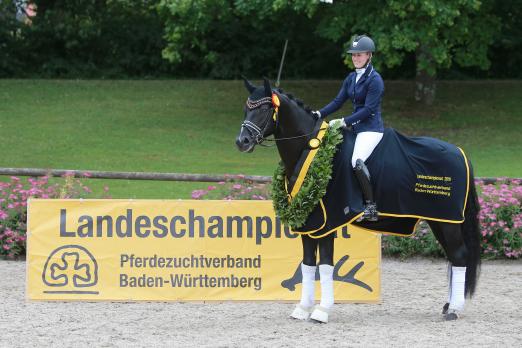 Foto: Sieger der 3-jährigen Hengste: Define Dynamic und seine Reiterin Lisa Horler - Fotograf: Olav Krenz