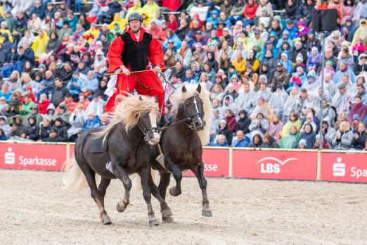 Foto: Ungarische Post mit Schwarzwälder Kaltbluthengsten - Fotograf: Stephan Kube