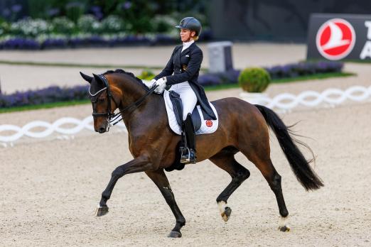 Foto: Diallo v. Dancier/Floriscount fand 2015 über eine Verdener Fohlen-Auktion einen neuen Besitzer und ging zehn Jahre später mit Doppelolympiasiegerin Jessica von Bredow/Werndl in Aachen an den Start - Fotograf: Lafrentz