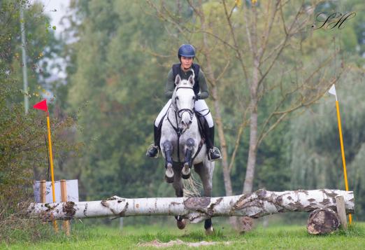 Foto: Der arabische Schimmelhengst Mislaf Altbah bei seiner Hengstleistungsprüfung. Arabische Pferde sind Sport-, Freizeit- und Schaupartner ihrer Züchter/innen und Reiter/innen im VZAP - Fotograf: Sirid Hahn