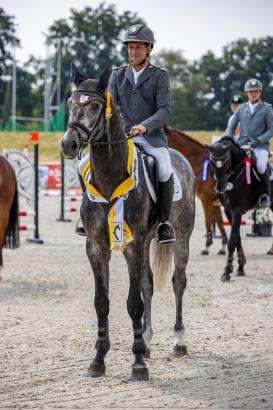 Foto: Hannoveraner Springpferdechampion Valensky wurde mit dem Stakkato-Preis ausgezeichnet - Fotograf: Stefan Lafrentz
