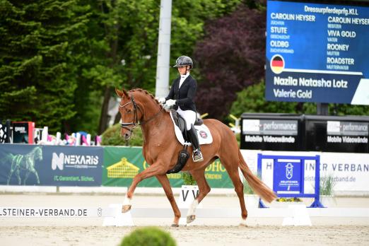 Foto: Valerie Gold v. Viva Gold ist die neue Landeschampionesse der fünfjährigen Dressurpferde - Fotograf: Janne Bugtrup