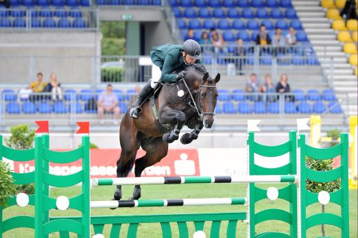 Foto: Van Helsing, hier noch unter dem Sattel von Karl Brocks - Fotograf: Tanja Becker