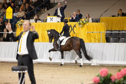 Foto: Hann.Pr.A. Vet+ Vantastica v. Von Und Zu/Mighty Magic - Fotograf: Hannoveraner Verband